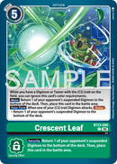 BT23-095 Crescent Leaf Common