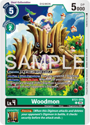 BT21-049 Woodmon Common