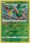 005/172 Tropius Uncommon Reverse Holo Brilliant Stars Pokemon TCG