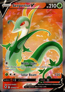 170/195 Serperior V Full Art Silver Tempest